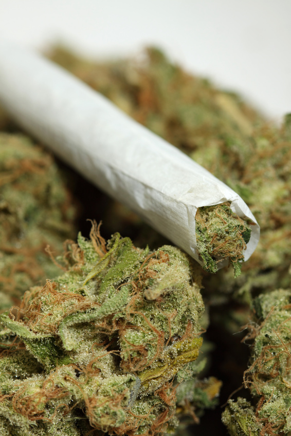 marijuana
