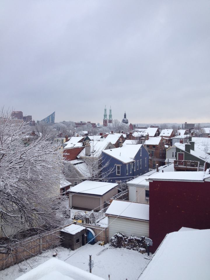 snowycov