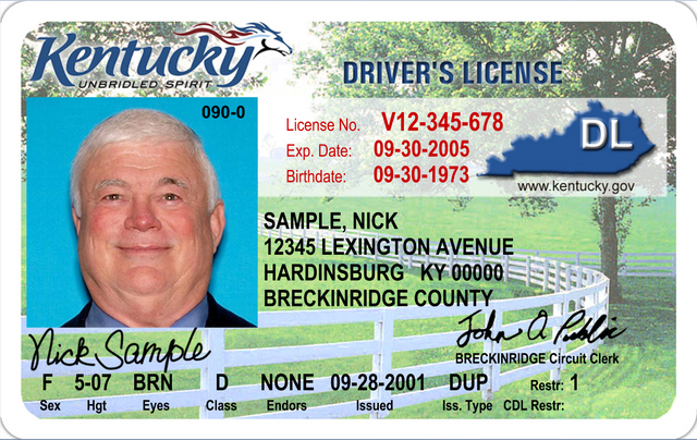 driverslicense