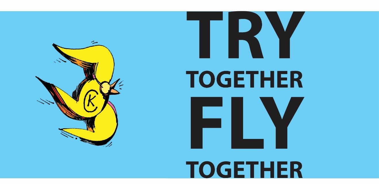 fly