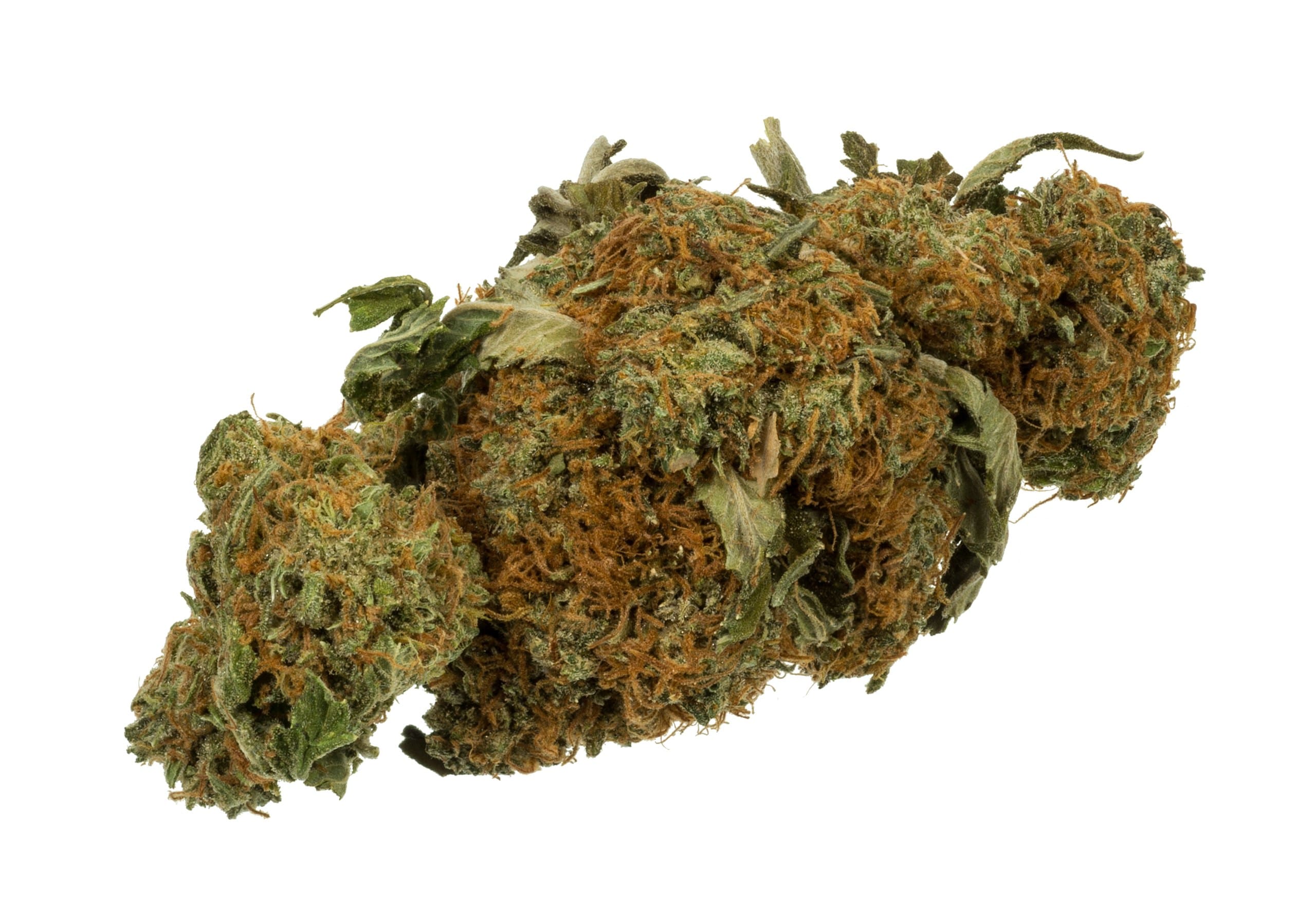 medicalmarijuana