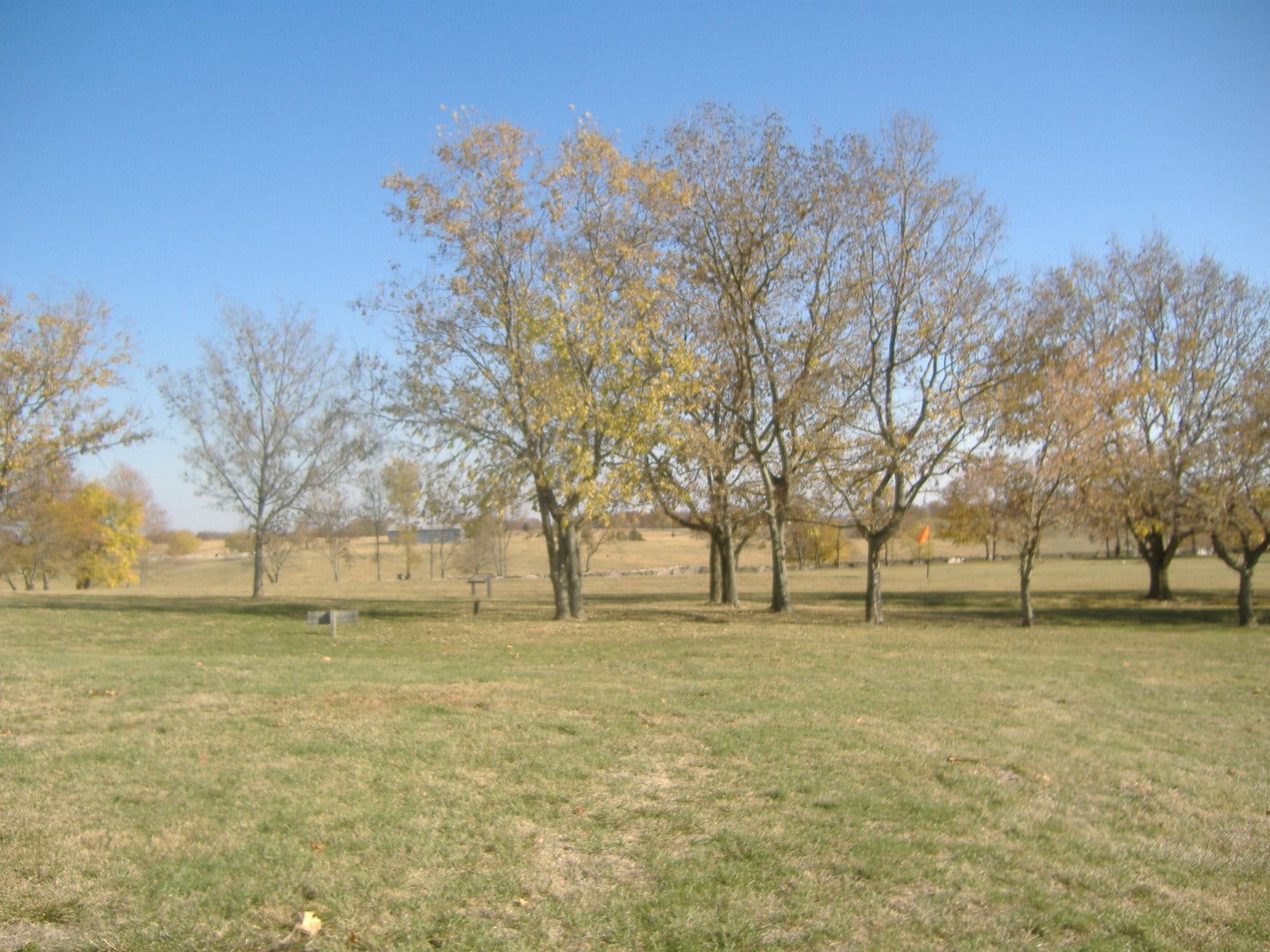 campnelson