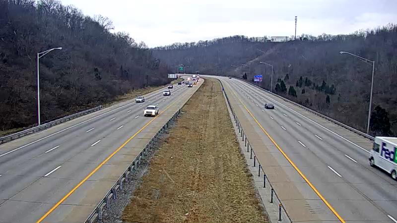 275-turkeyfoot
