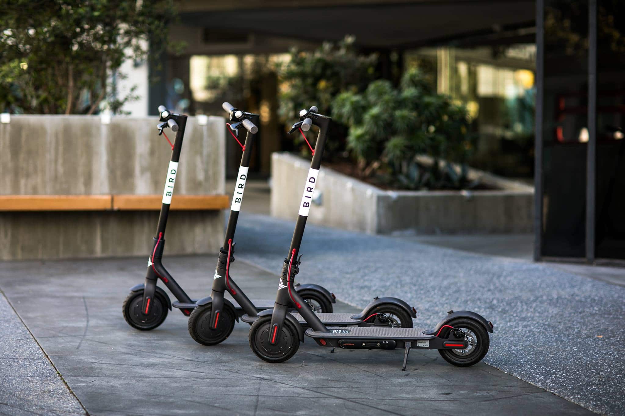 birdscooter