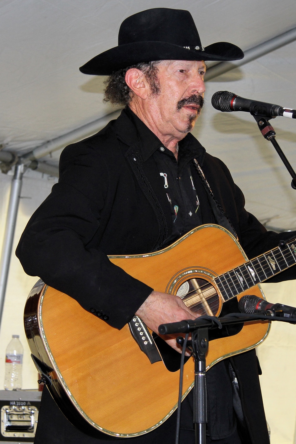 kinkyfriedman