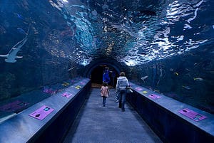 newportaquarium