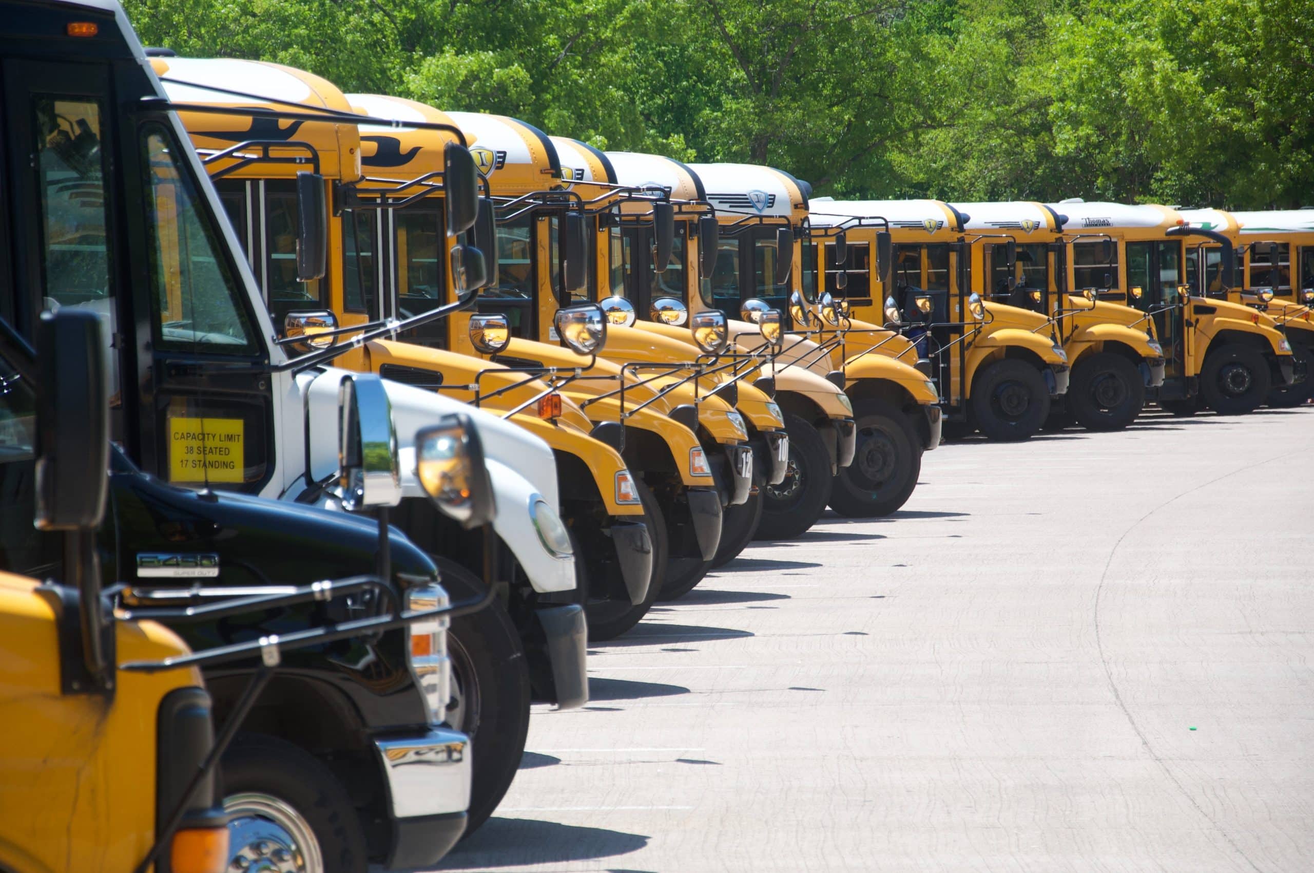 buses