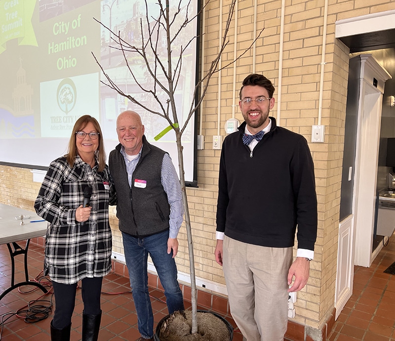 Two men and a woman with a tree stand at a table.